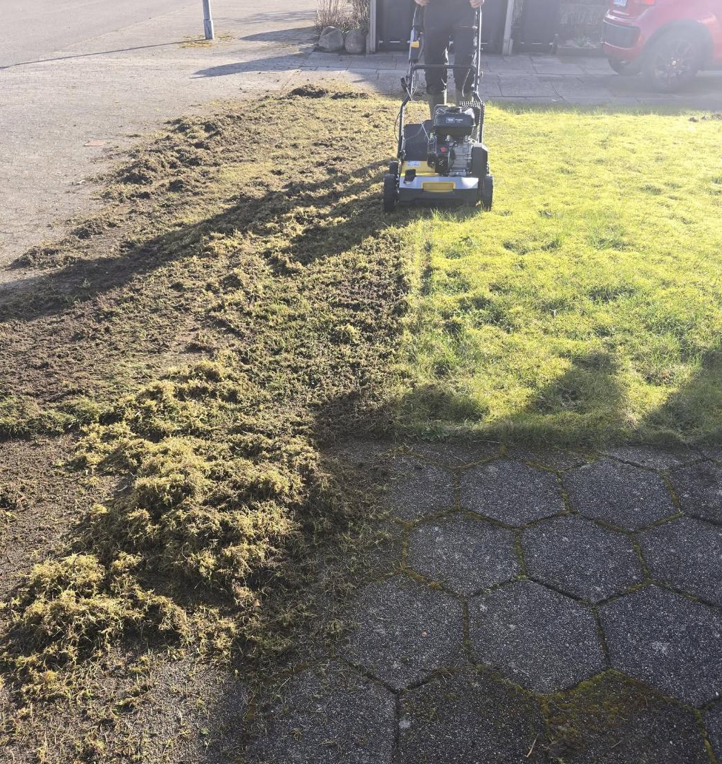 Dagens arbejde: billede 1
